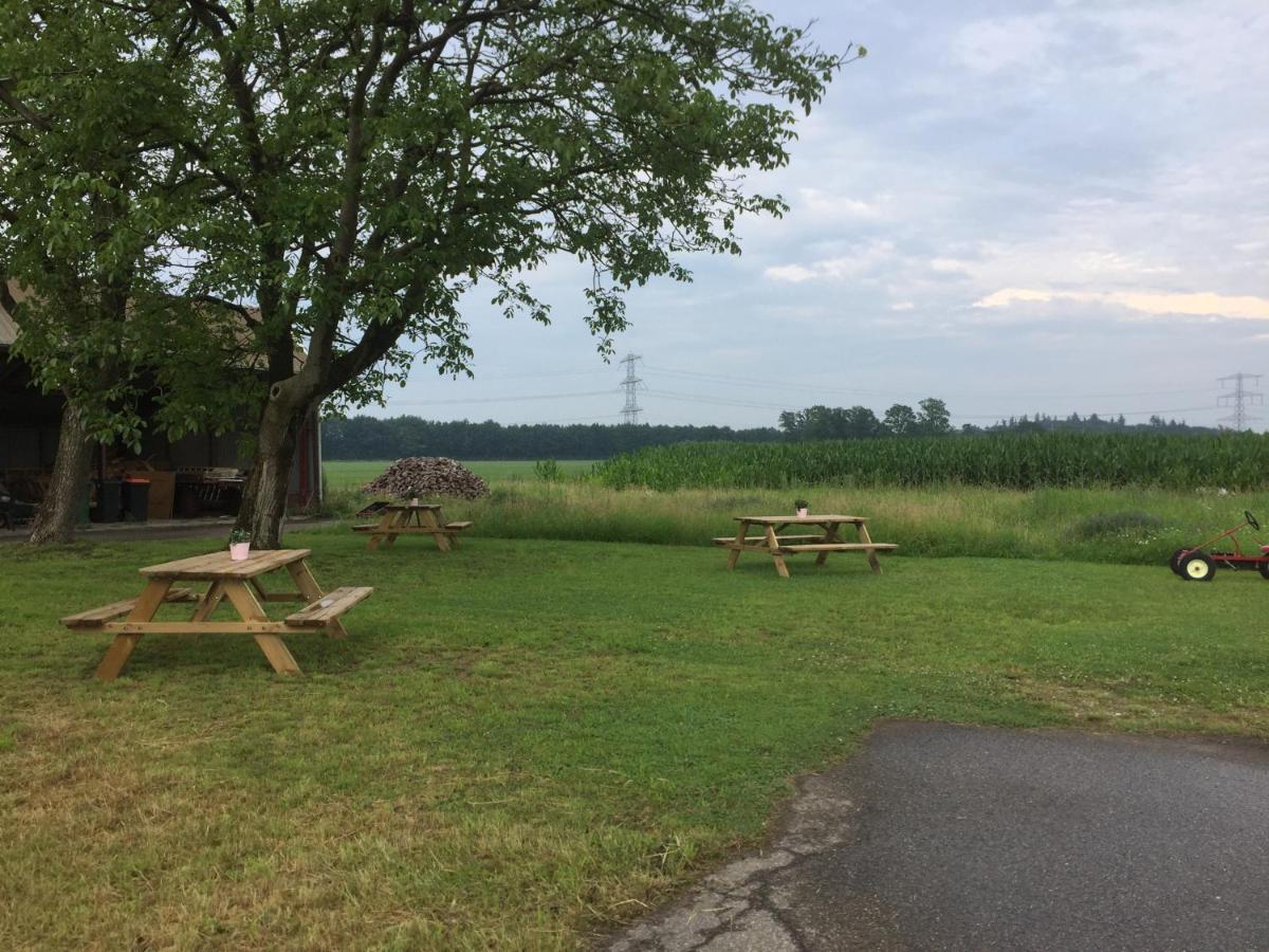 Bed and breakfast Erve Dam *